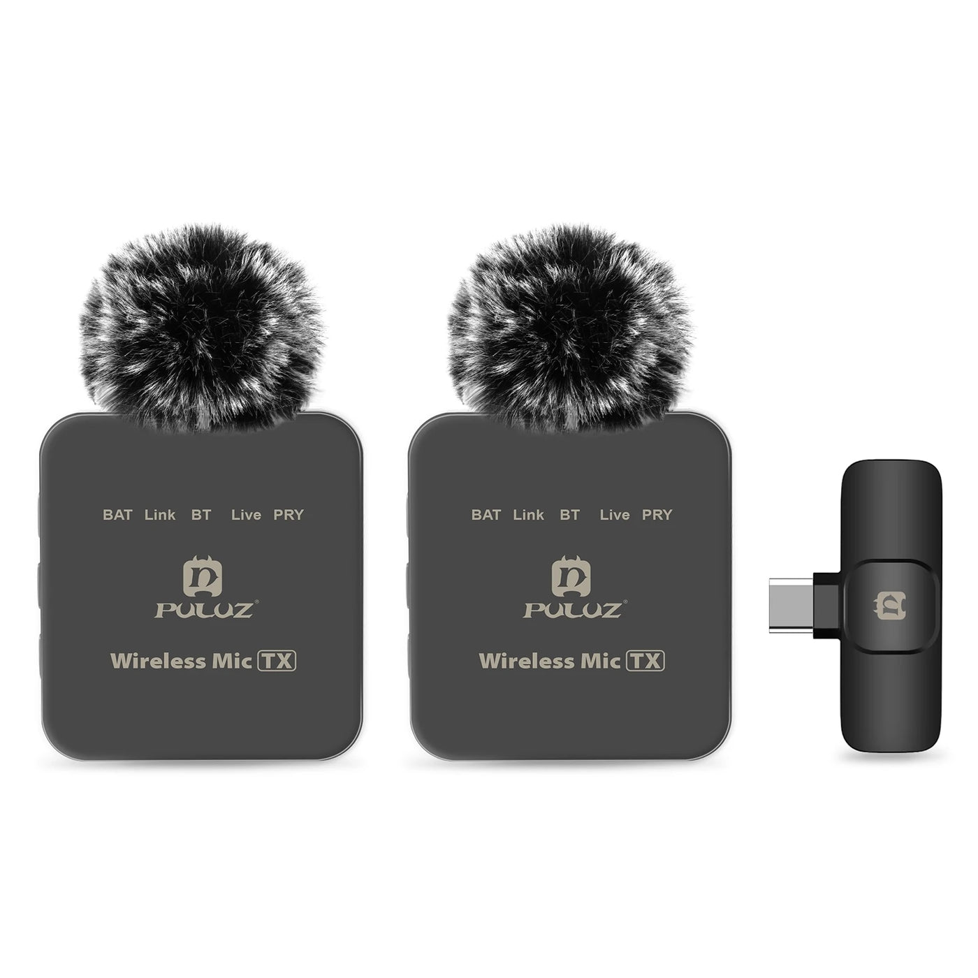 2.4G Wireless Microphone