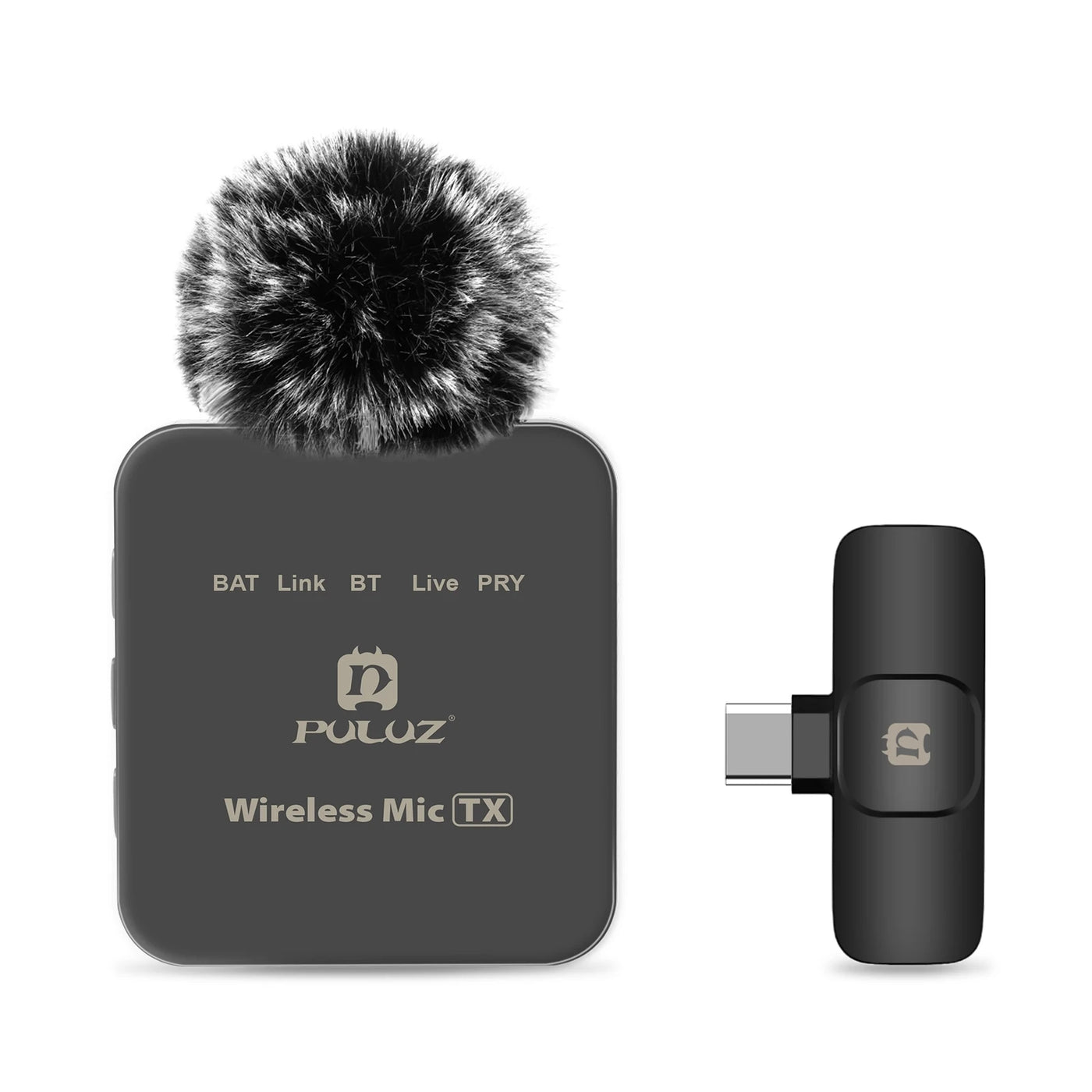 2.4G Wireless Microphone