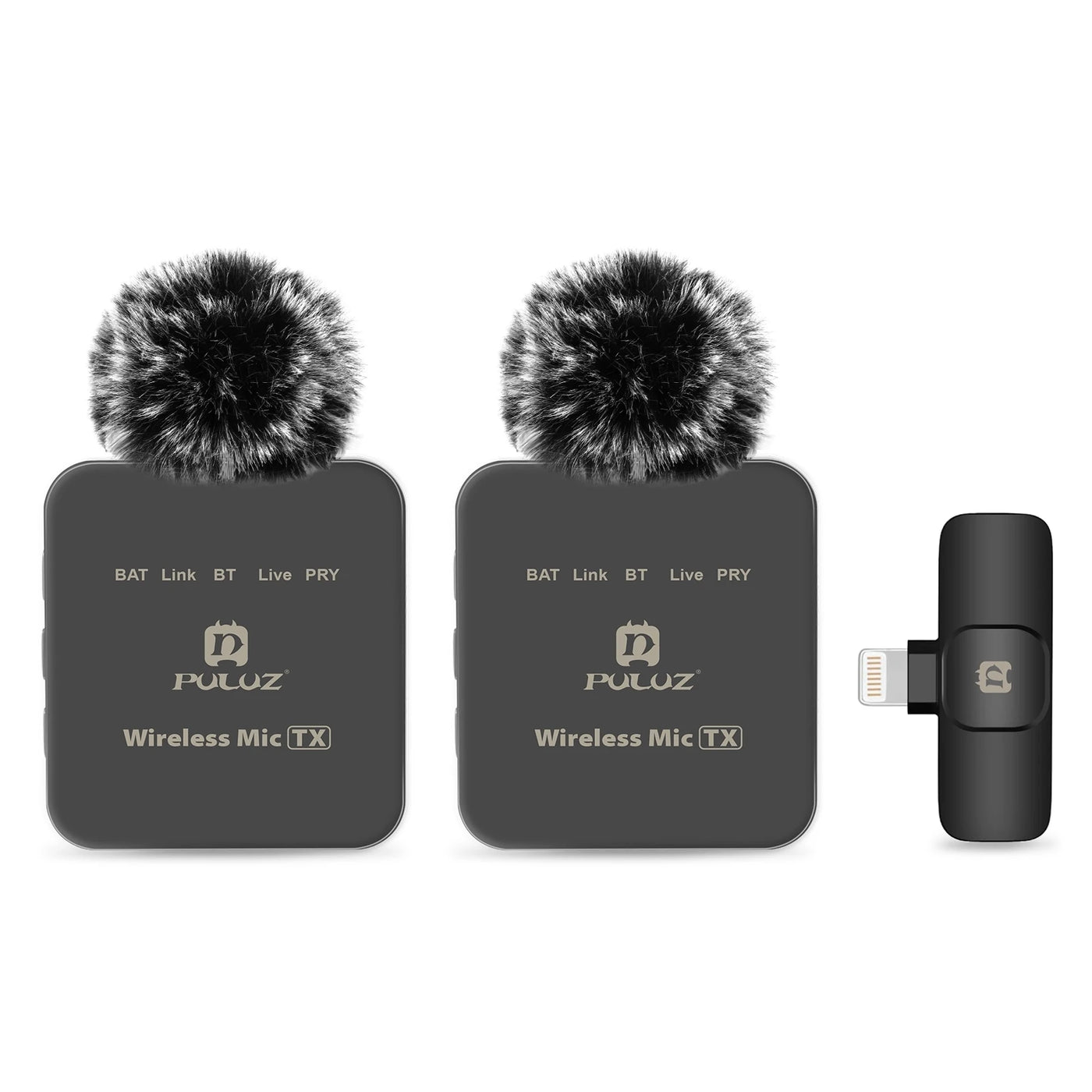 2.4G Wireless Microphone